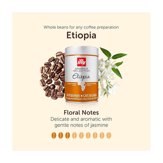 Café en Grano Illy Arabica Selection Etiopía 250g