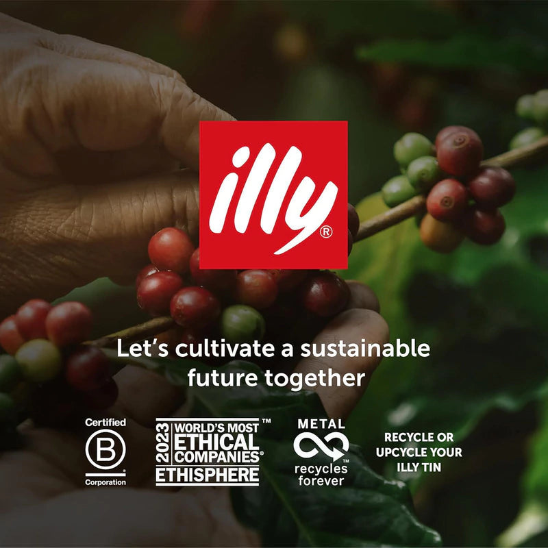 Café en Grano Illy Classico 100% Arábica 250g